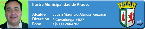 Municipio Arauco