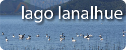 Lago Lanalhue